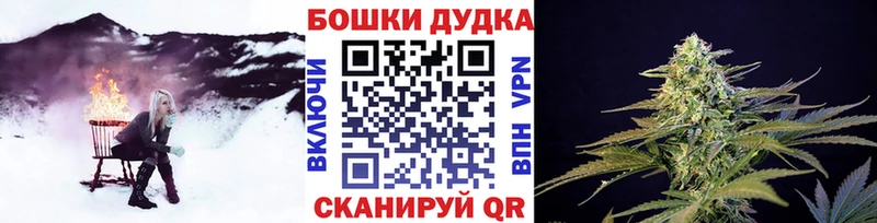 Купить где  Карачев  Канабис индика 